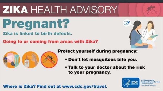 The Zika Virus: The Facts We Need to Know