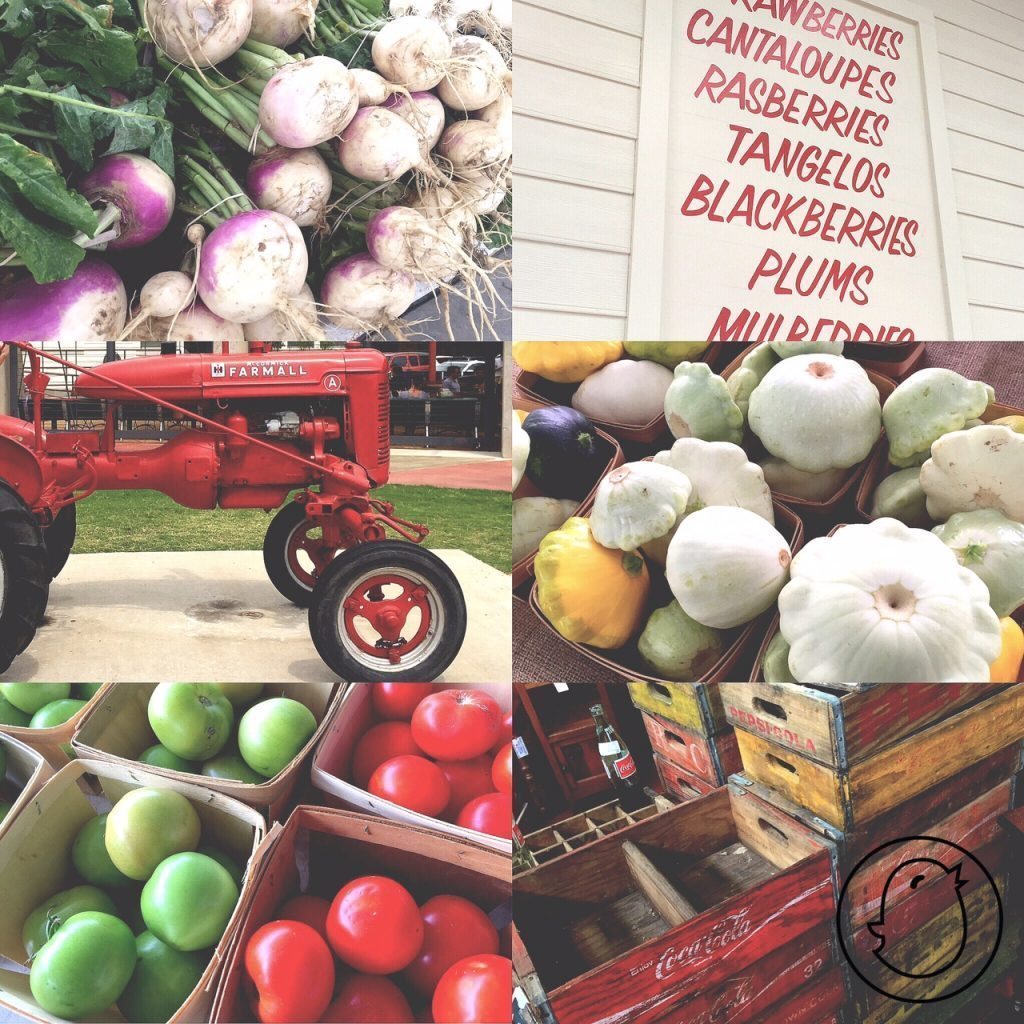 Farmer's Market Play Date, Dallas Farmer's Market, Fresh fruits, Fresh veggies, Fill your wagon