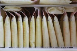 A close-up image of neatly stacked and labeled bags containing breast milk stored in a freezer. The bags are arranged vertically and tightly together, with numbers and dates written on them for organization.