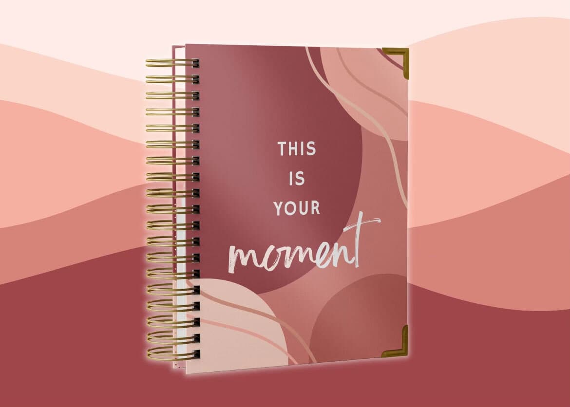 Motherhood Planner by Baby Chick