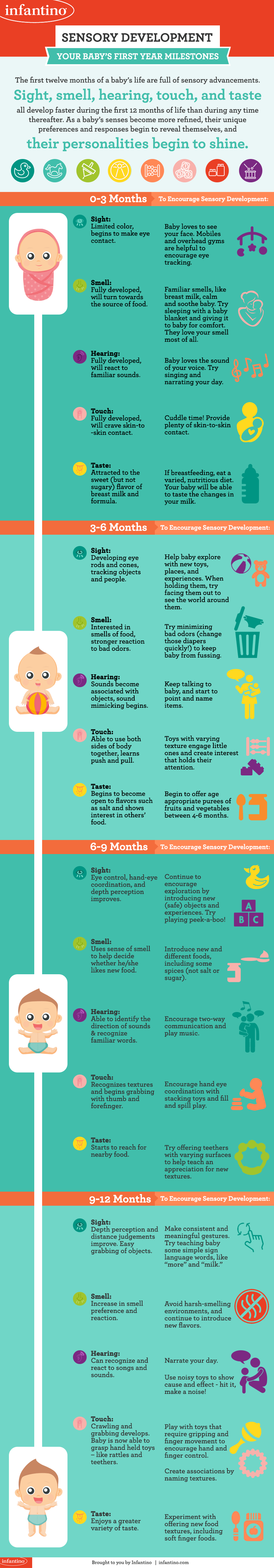 Sensory Development Infographic | Baby Chick