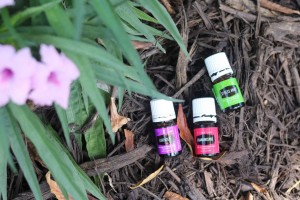 5 Essential Oils to Positively Influence Your Child's Behavior