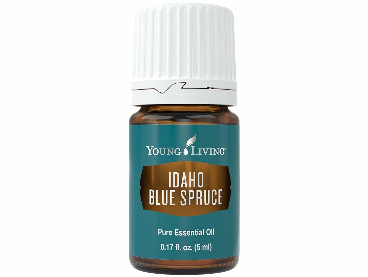 Idaho Blue Spruce Essential Oil