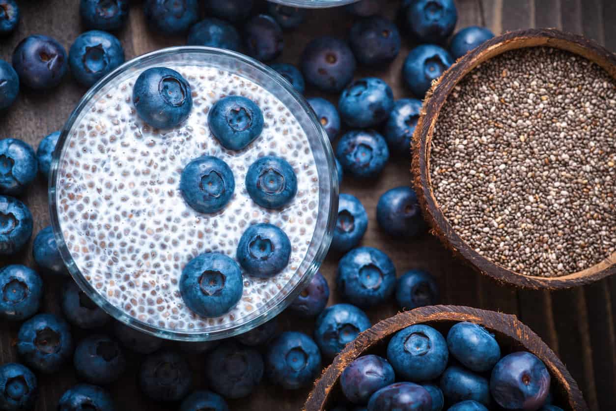 A glass bowl of chia pudding topped with blueberries is surrounded by loose berries—a delightful choice among healthy snacks for pregnancy. To the right, a halved coconut bowl holds chia seeds, and another bowl with blueberries is partially visible, making it one of the best foods for pregnancy.
