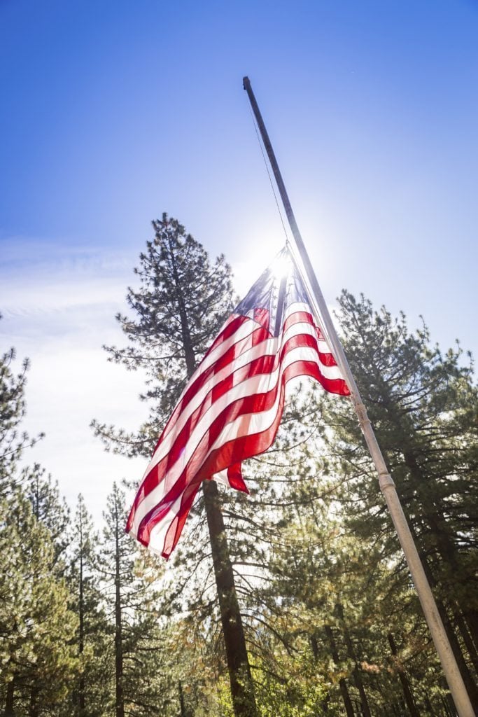 Half Mast American Flag Among Trees.