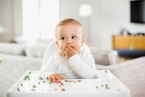 Baby in high chair eating food.