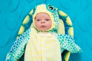 A baby is lying on its back, dressed in a colorful turtle costume with blue and green scales on a blue textured blanket. The baby has a calm expression and is looking slightly upwards, showcasing one of the cutest Halloween costumes for babies.