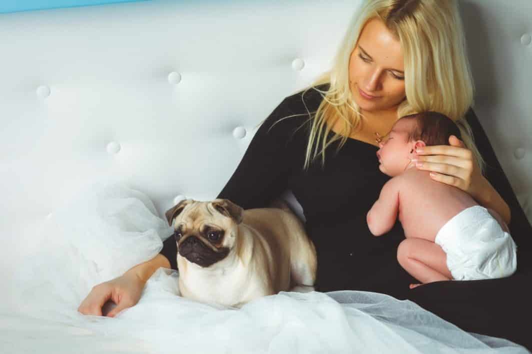How to Introduce Your Pets to Your Baby