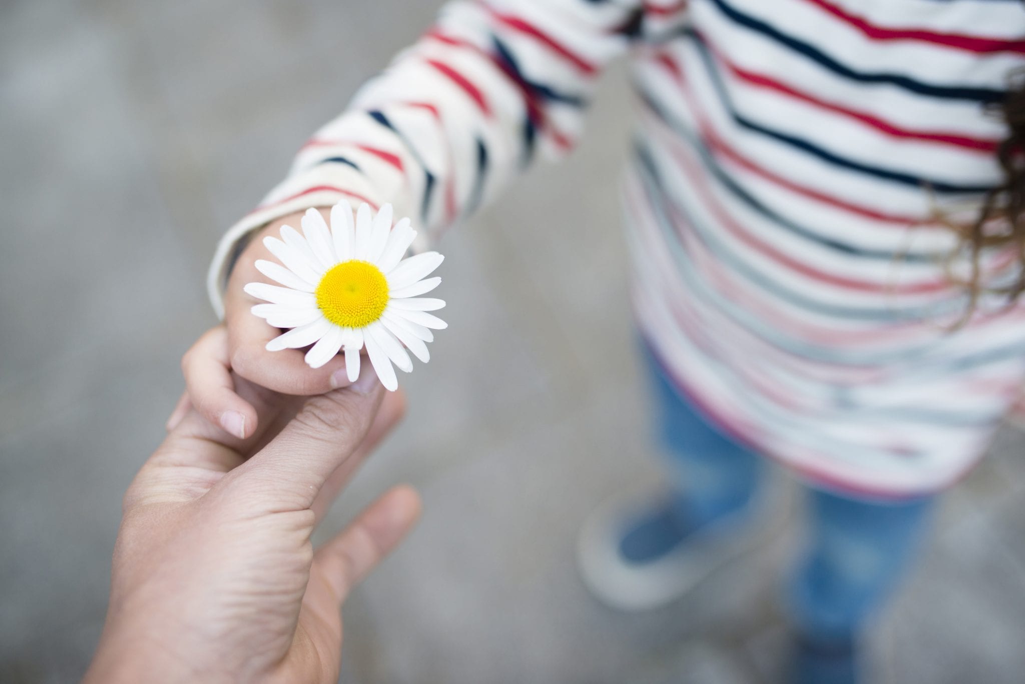 Random Acts of Kindness to Do with Children | Baby Chick