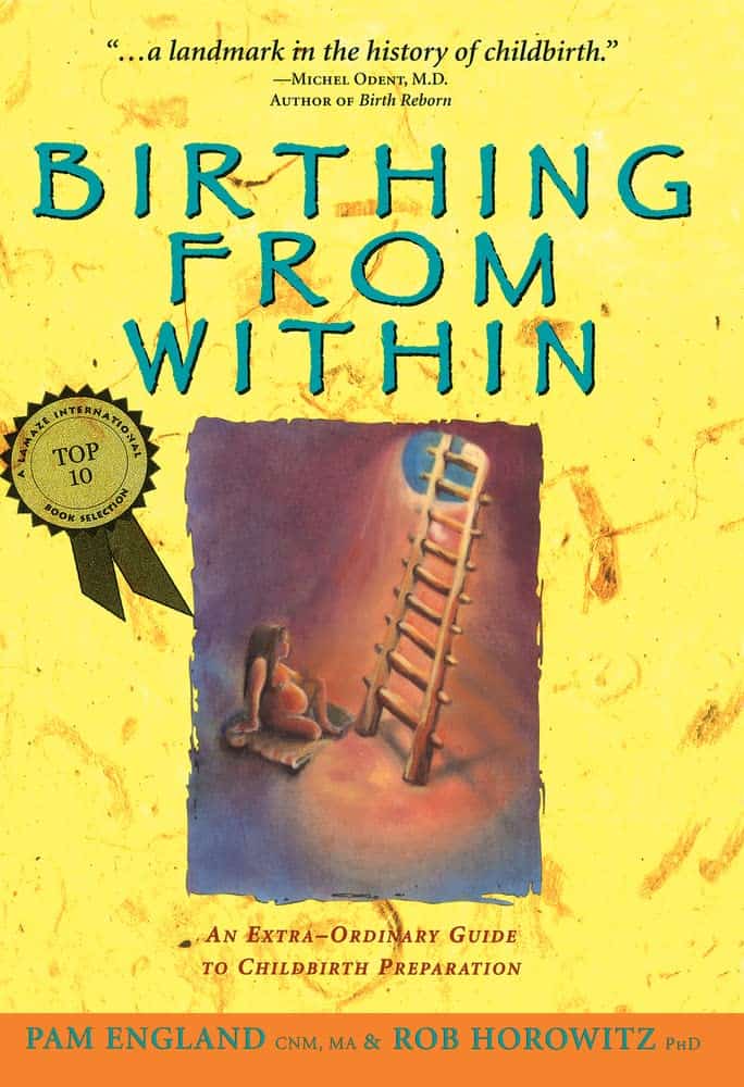 The cover of the pregnancy book "Birthing From Within" features an illustration of a person on a ladder reaching for a star while another sits below. The text includes the title, subtitle "An Extra-Ordinary Guide to Childbirth Preparation," and authors Pam England and Rob Horowitz.
