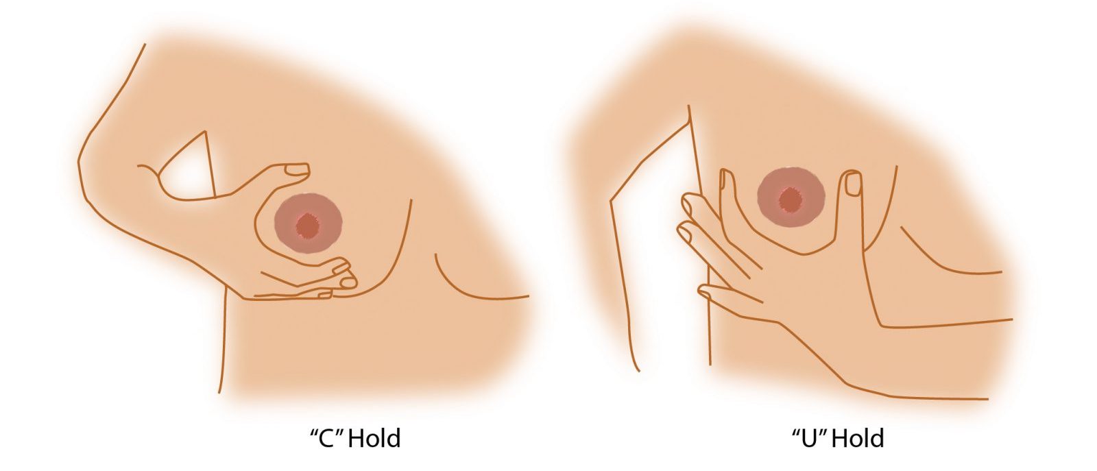 illustration of breast-C-and-U-Hold for breastfeeding