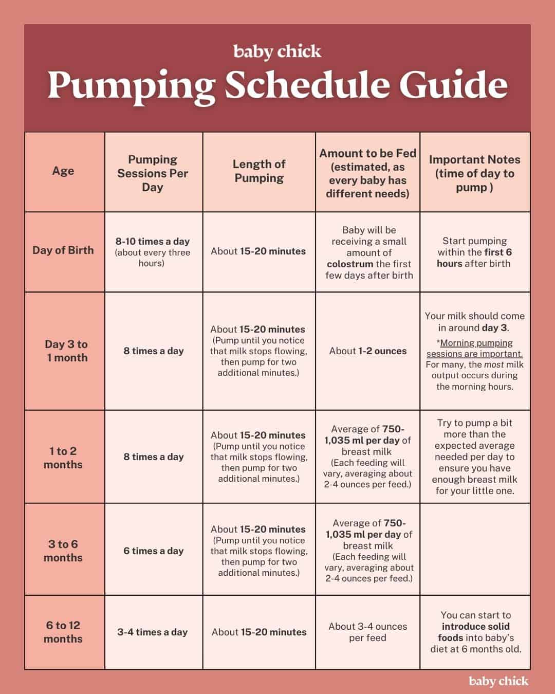 Infographic titled Pumping Schedule Guide for breastfeeding mothers. It outlines pumping sessions per day, length of pumping, amounts to be fed, and important notes for age ranges from birth to 12 months, alongside exclusively pumping tips to maximize efficiency and comfort.