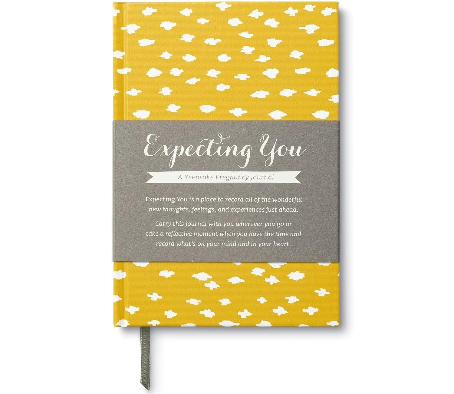 Expecting You pregnancy journal