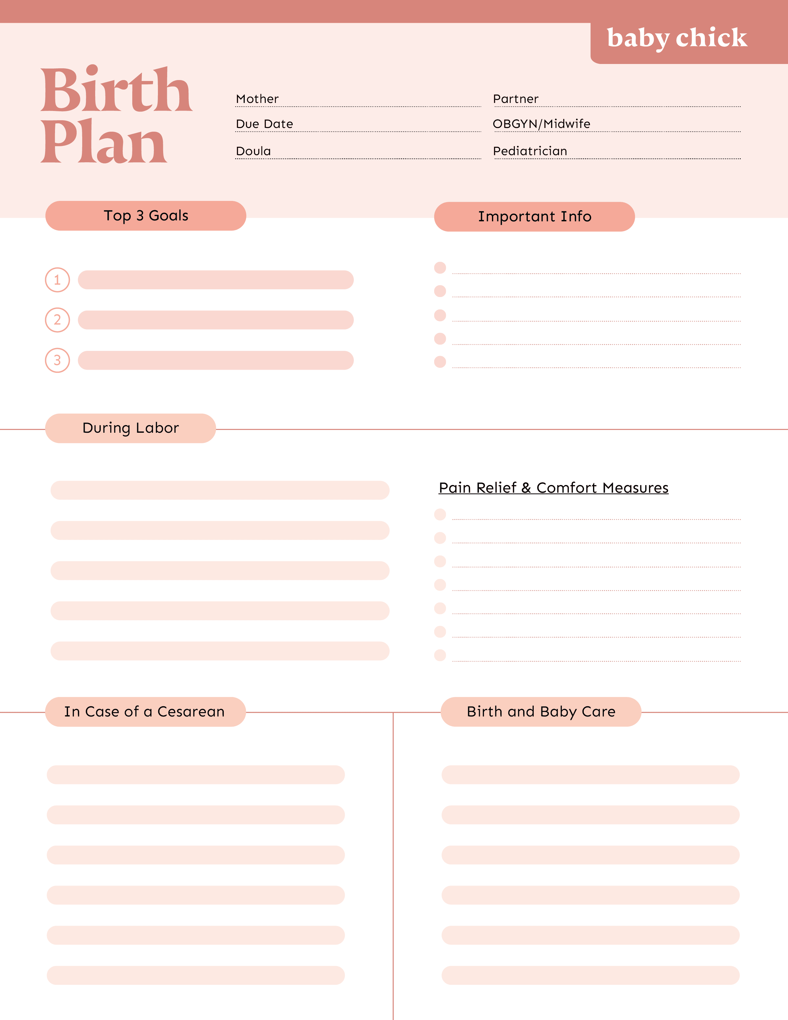 Baby Chick Birth Plan template