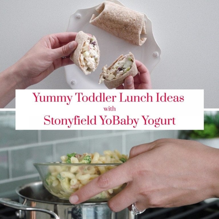 Two lunch recipes made with Stonyfield YoBaby yogurt