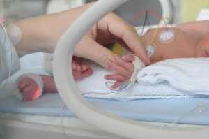 Newborn Premature Infant with Mother's Hand
