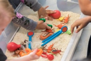 Preschool students enjoy discovering items in a sensory bin filled with rice and plastic insects.