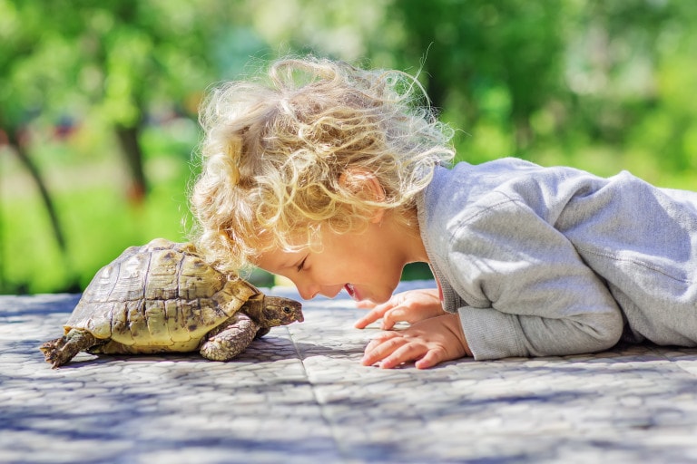 Little boy laying on the ground head to head with his turtle.
