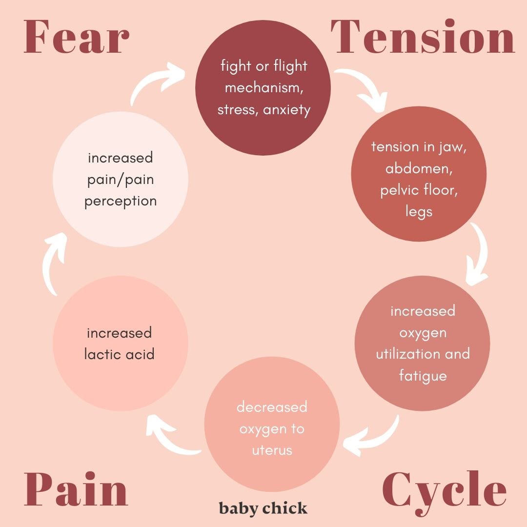 Fear Tension Pain Cycle