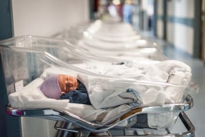 Newborn baby boy in his small transparent portable hospital bed