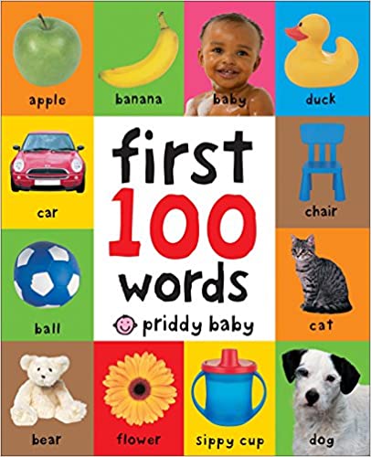 The First 100 Words book