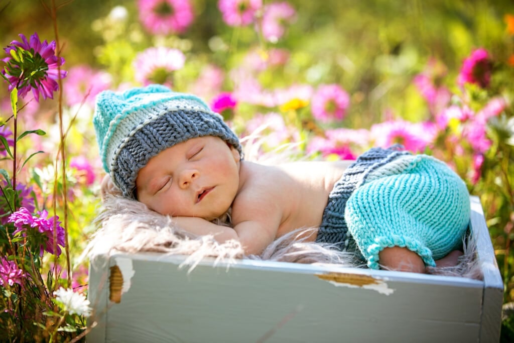 Cute newborn baby boy, sleeping peacefully in basket in flower garden