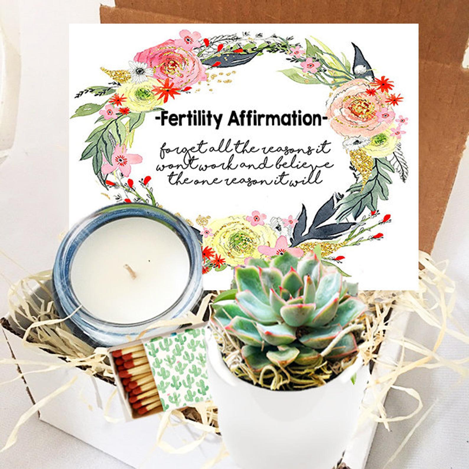 Fertility Affirmation Succulent Gift Box