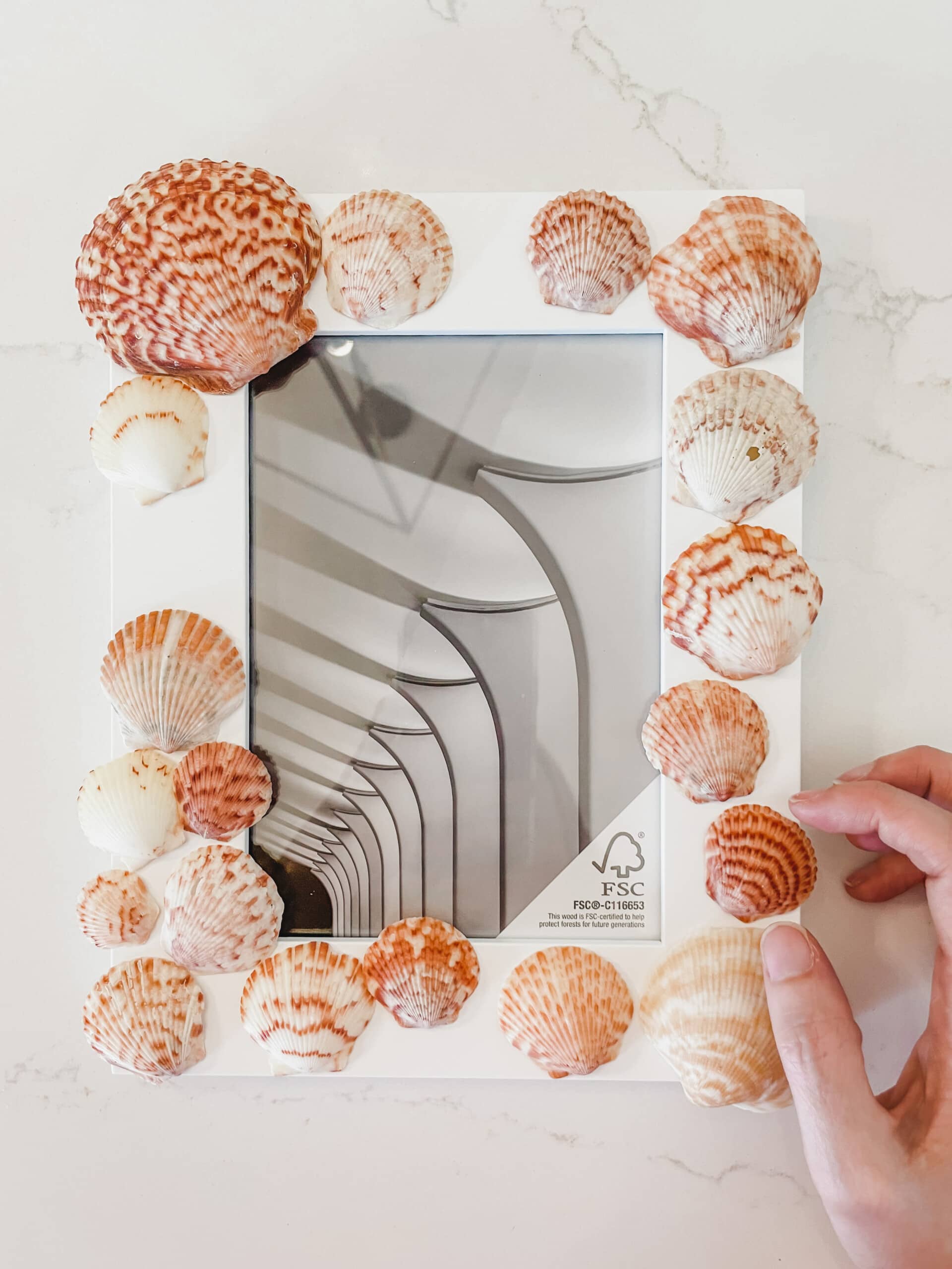 Laying seashells on a picture frame.