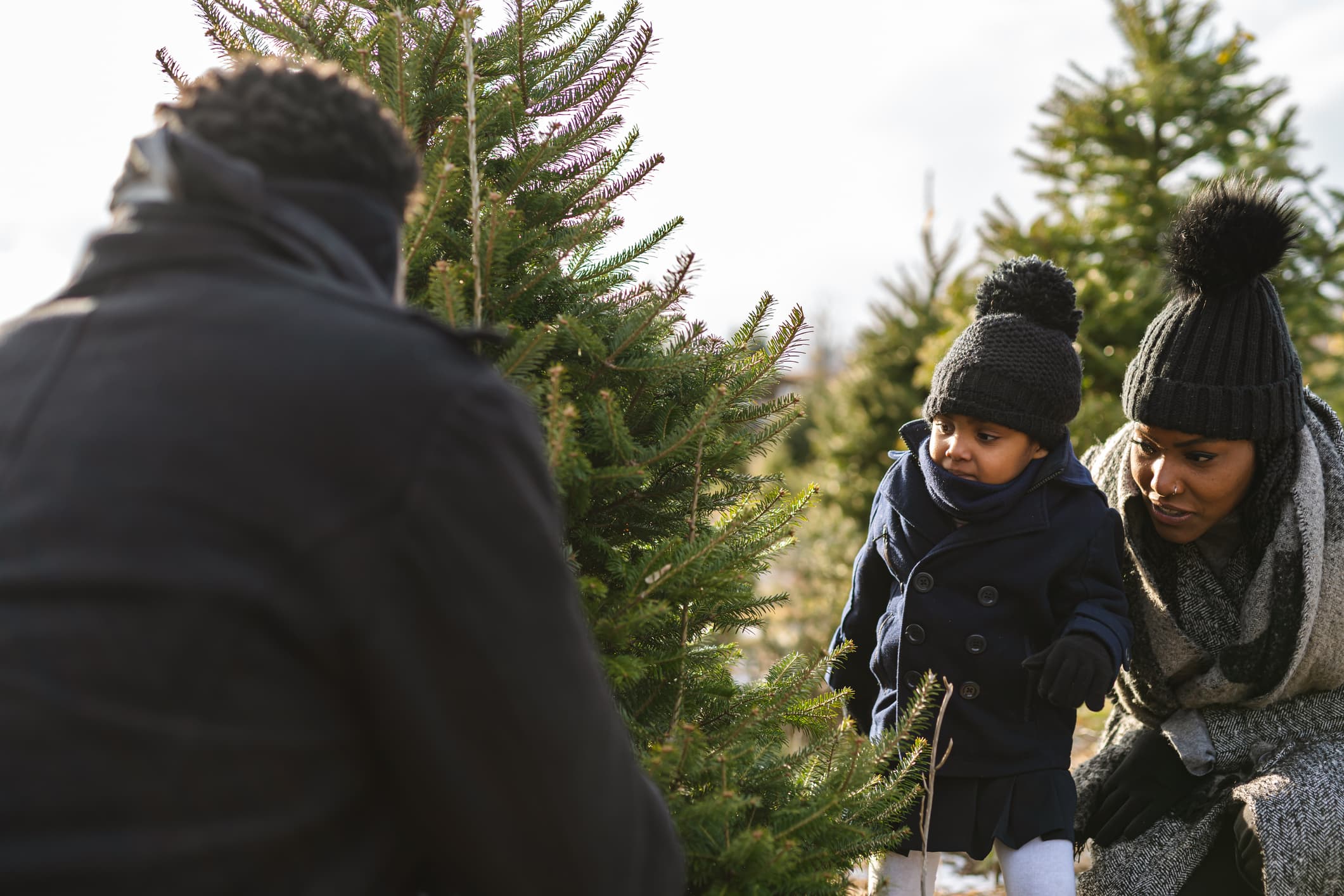 A beautiful family have decided on the perfect Christmas tree. They are at a tree farm and all wearing warm winter clothes.