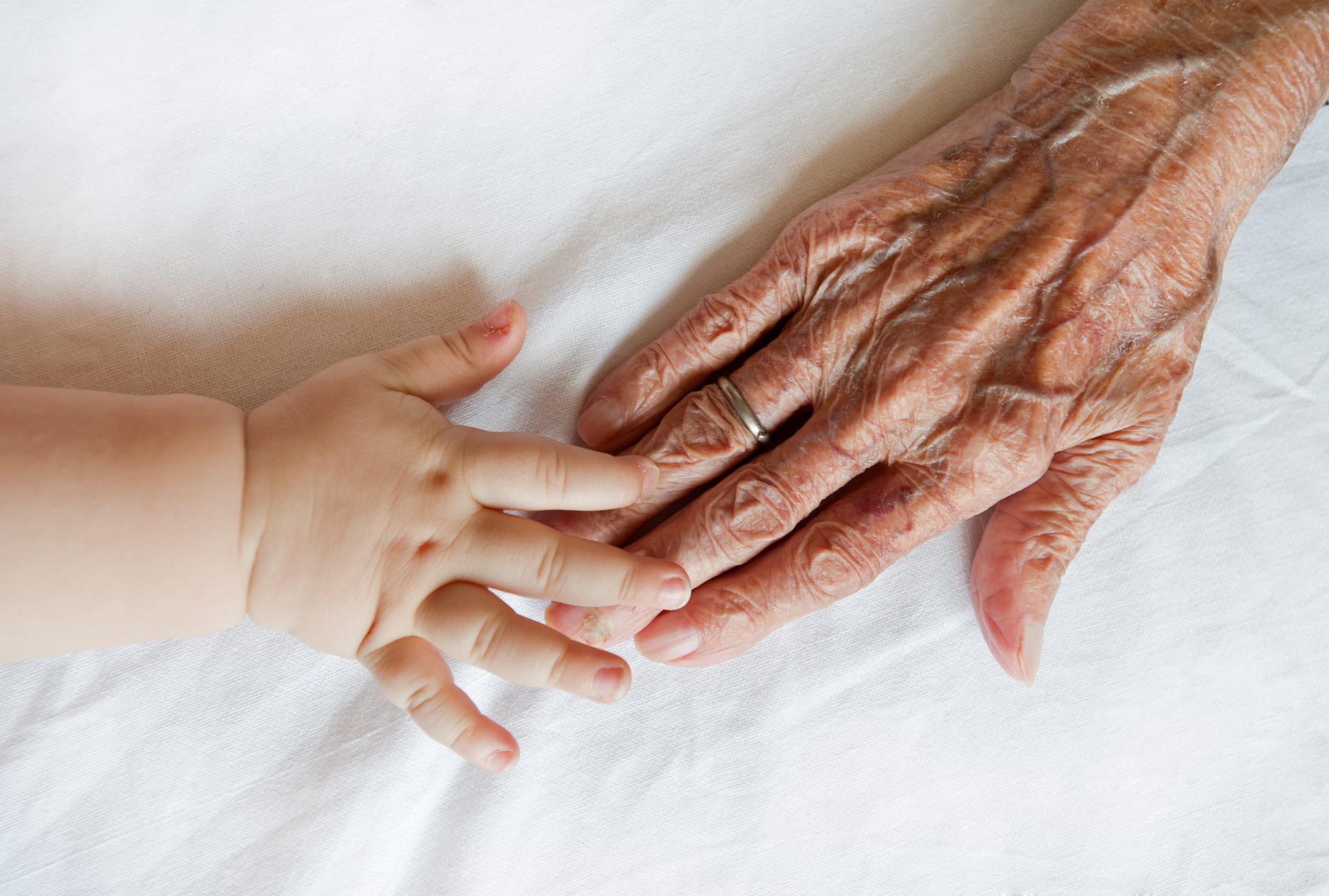 grandparent and grand child hands touching