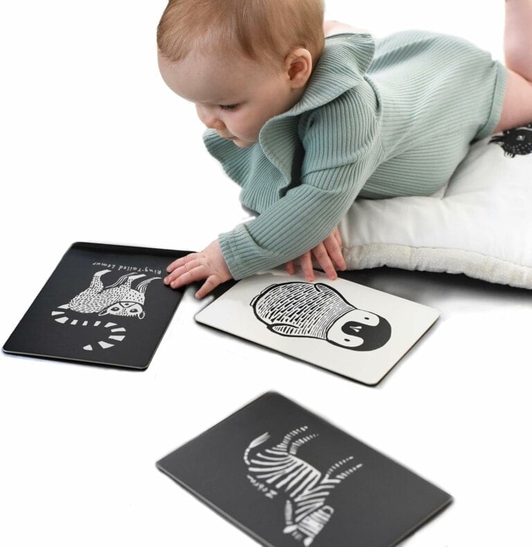 Flash Cards for Babies