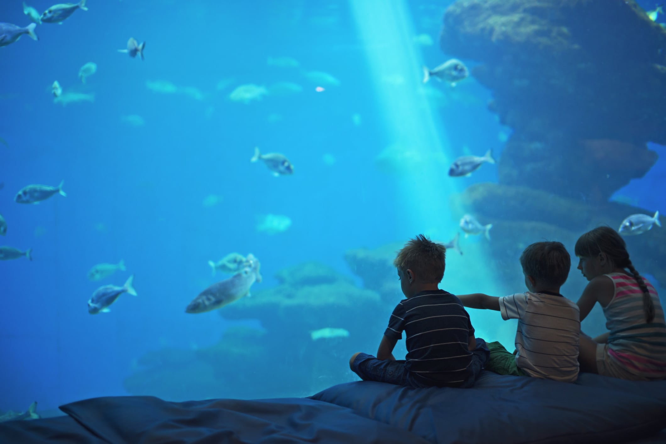 Kids in a huge aquarium looking at fish.