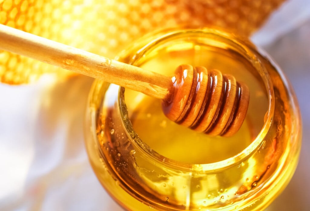 Honey dipper on the bee honeycomb background. Honey tidbit in glass jar and honeycombs wax.
