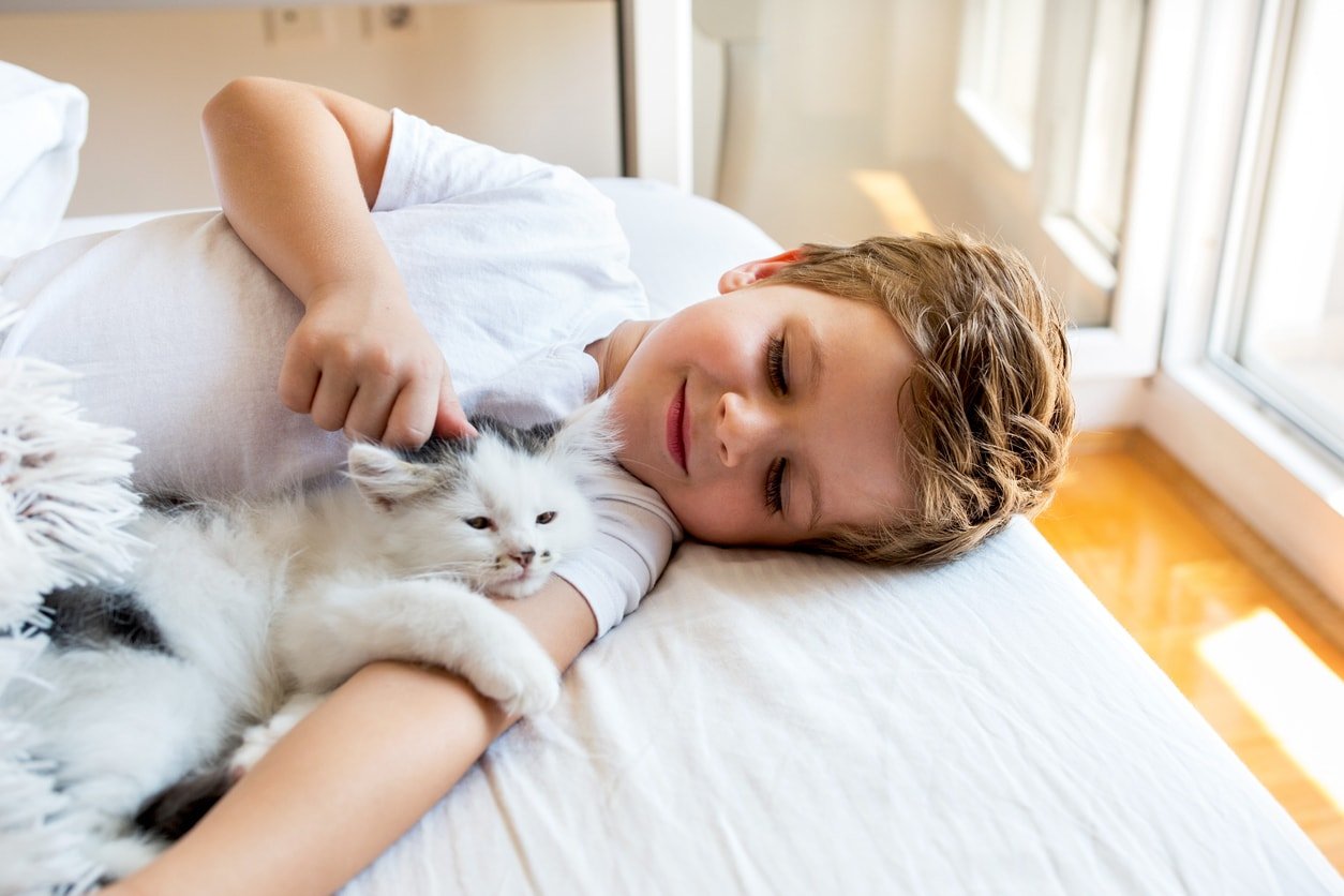 Cute little boy relaxing on the bed with his small cat.
