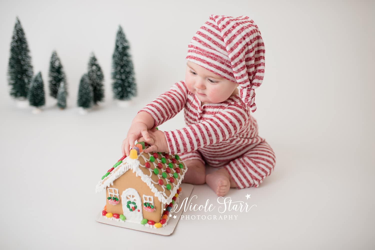 baby gingerbread house smash phtoo