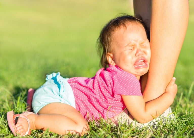 Discipline and parenting. Adorable asian baby girl in tears crying and pleading for attention attached to parents ankle while lying on the grass at the park on a summer day.
