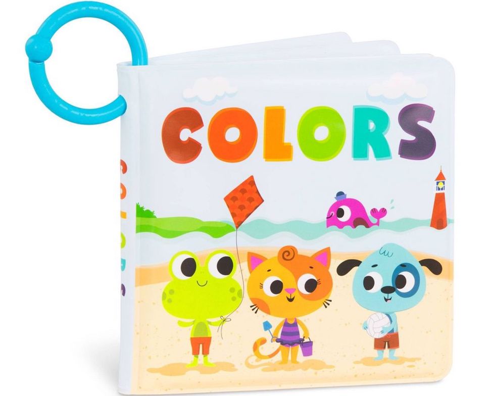 Book with colors spelled out on cover and an illustration of a frog, cat, dog, and fish on the beach. 