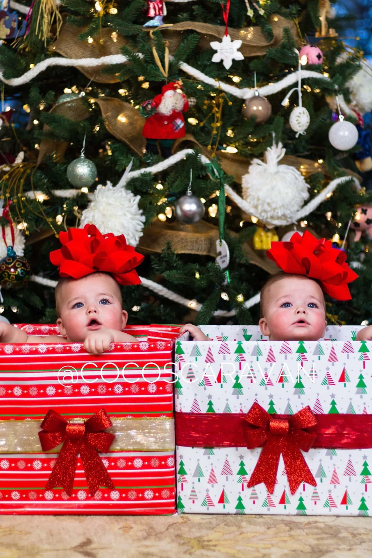 Twin babies with bows on their head sitting in boxes wrapped as presents in front of the Christmas tree.