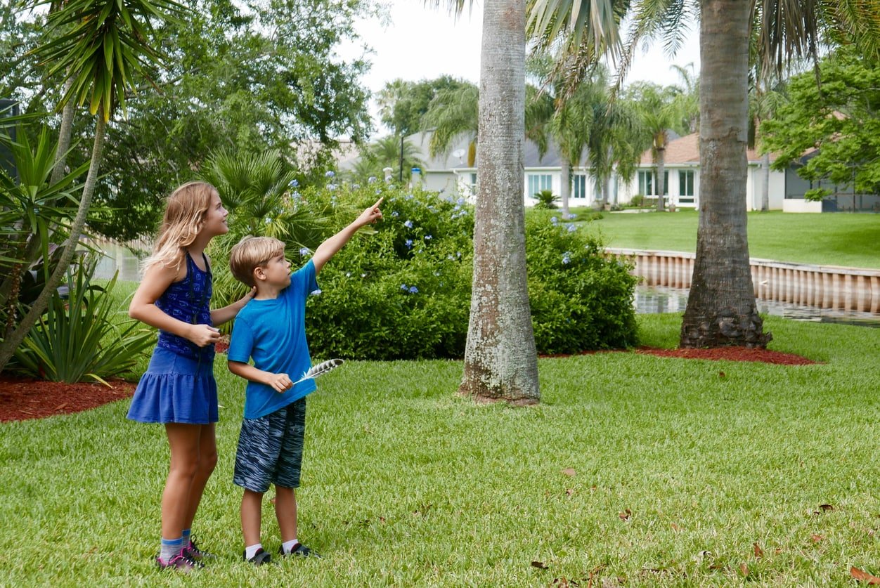 Boy and girl outside in their neighborhood, collecting items as part of a scavenger hunt and pointing at a bird nest as they explore local nature