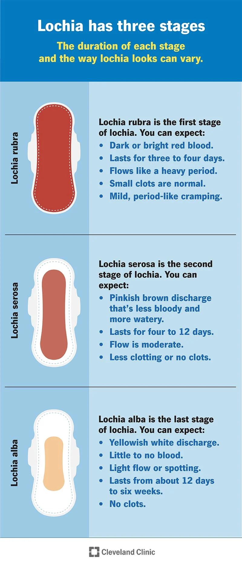 A infographic of the different stages of postpartum lochia