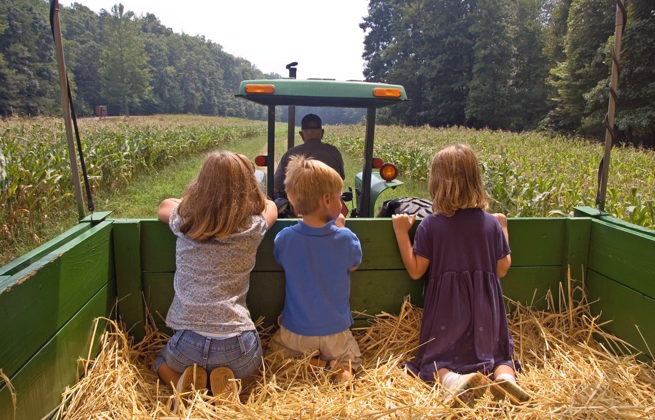 "Three young children (siblings) ride in a trailer filled with hay, which is pulled by a tractor."