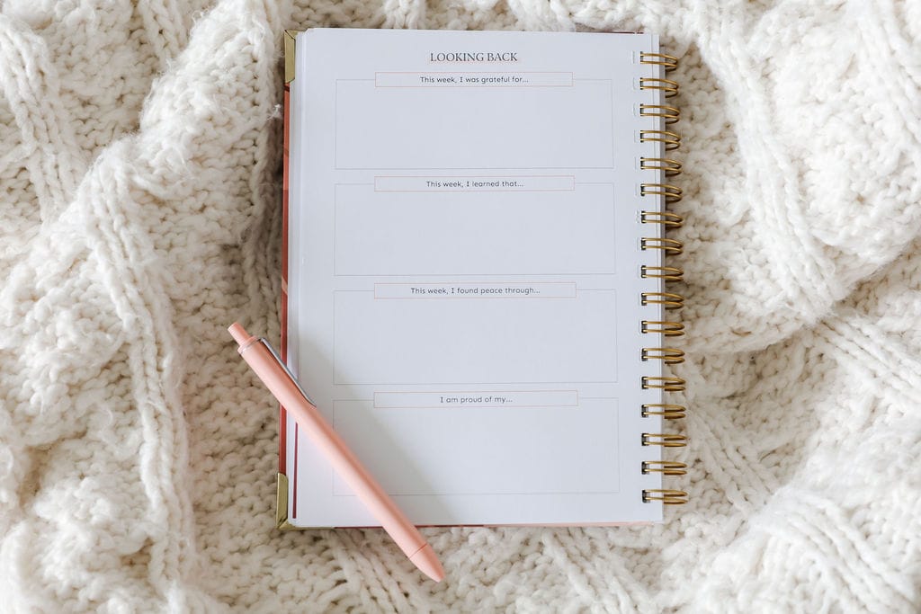 A look inside the Baby Chick Motherhood Planner. This is the looking back page.