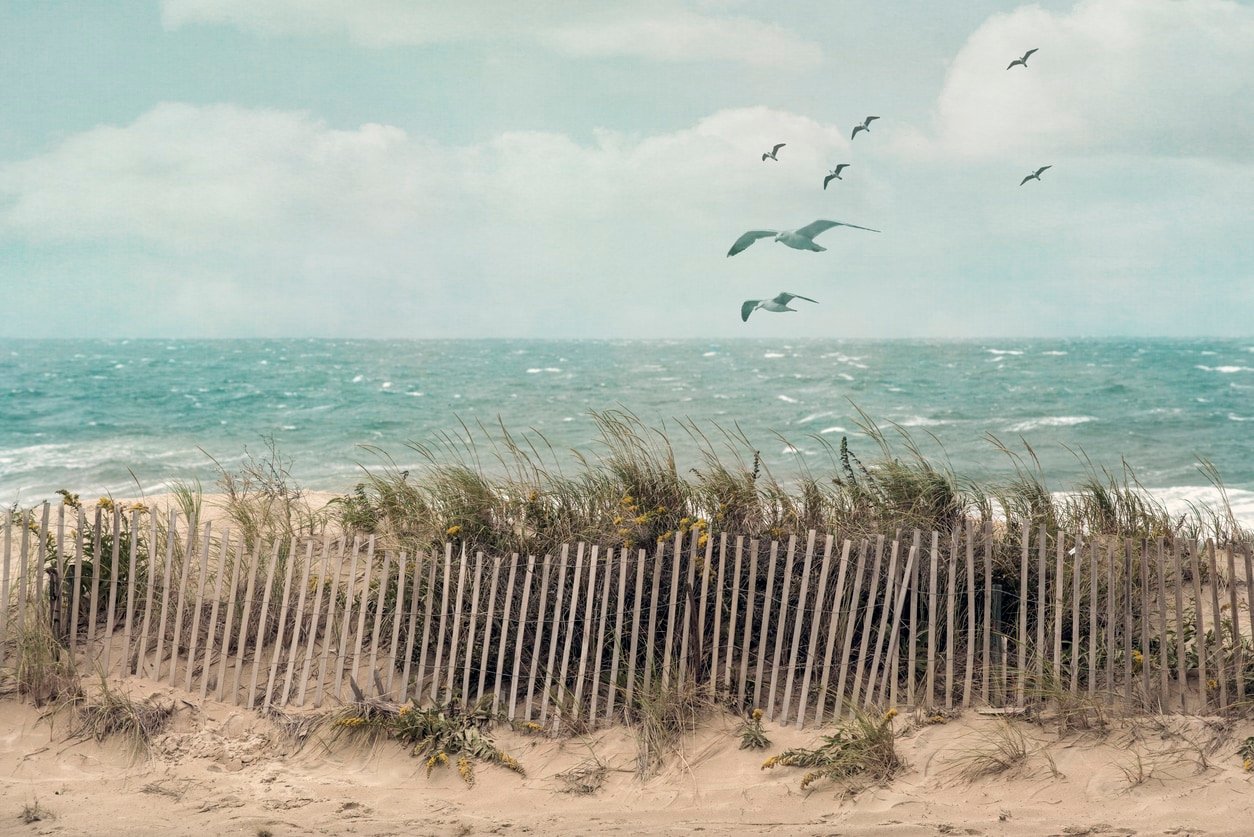 View of a beach on Cape Cod, Massachusetts, on a windy fall day with an old wooden fence, beach grass and ocean scenery.