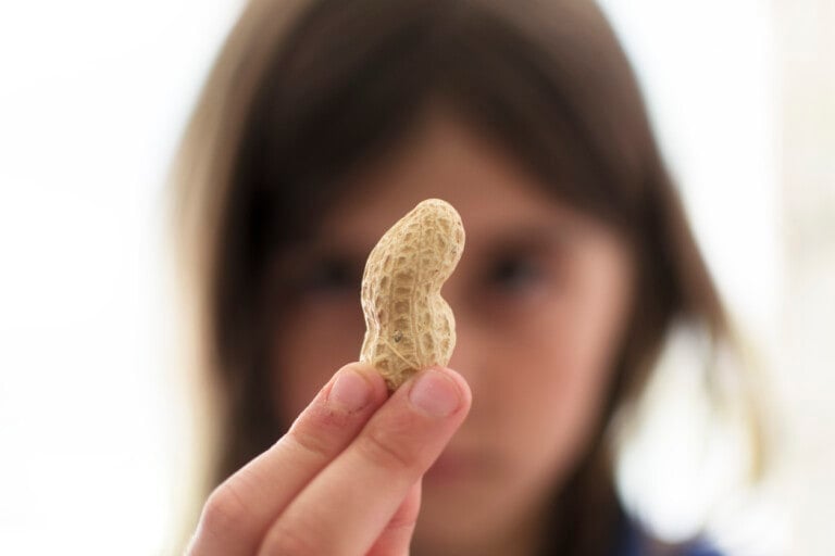A young child holds up a peanut and looks at it closely.