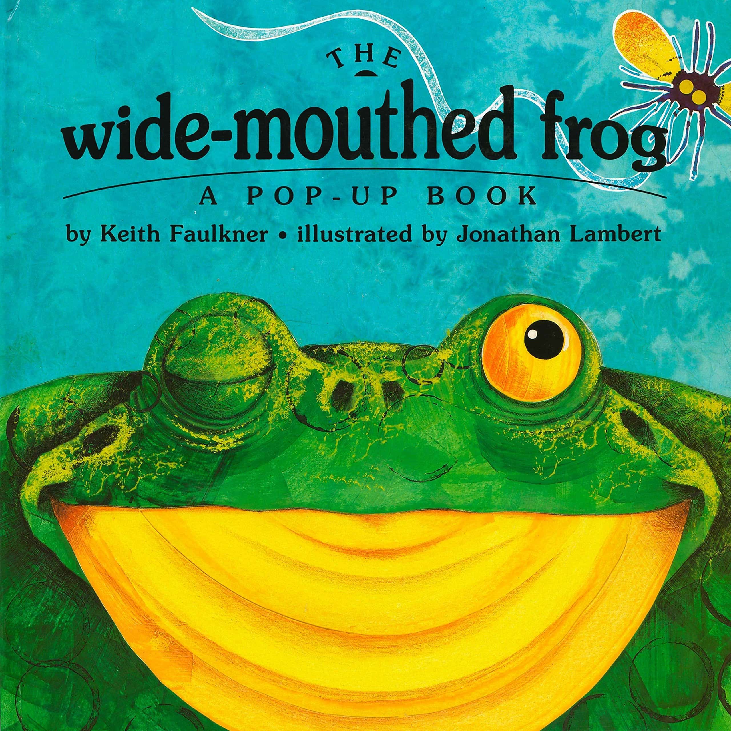 The Wide-Mouthed Frog book cover