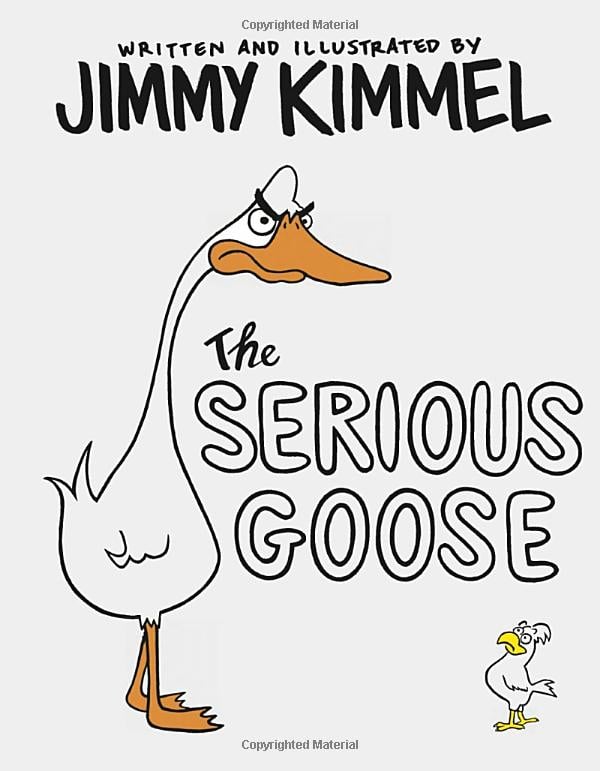 The Serious Goose book cover