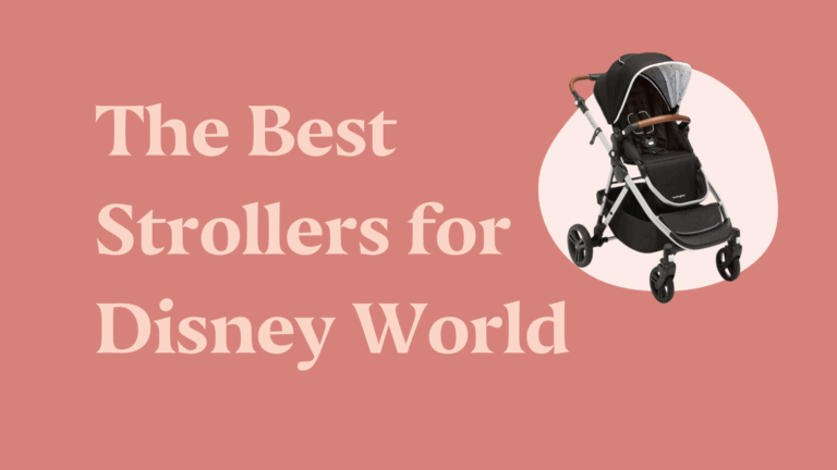 The Best Stroller for Disney World