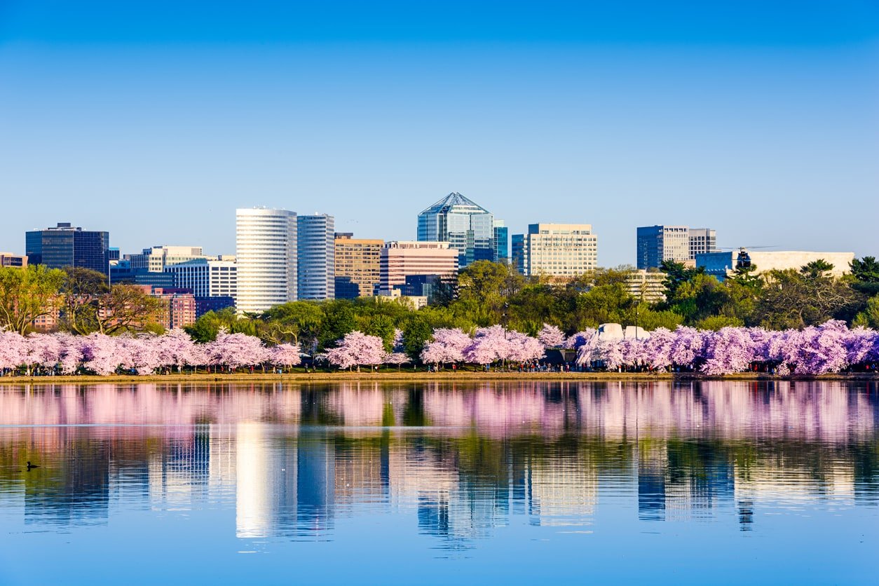Arlington, Virginia at the Tidal Basin during cherry blossom season with the Rosslyn business district cityscape.