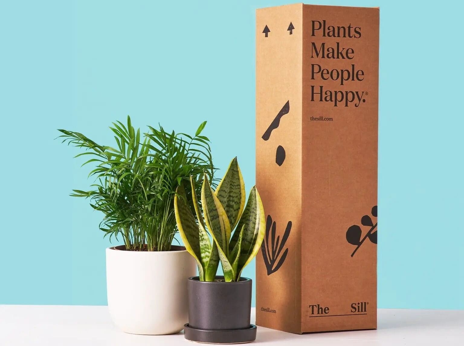 The Sill Plant Subscription