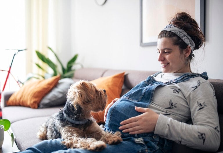 Young pregnant woman at home sitting on sofa and relaxing with pet dog